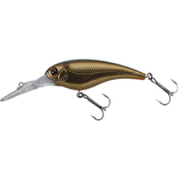 SHAD IS WASP 55 #111 Stain Gold