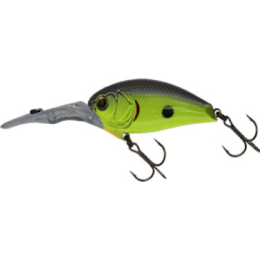 IK-300RS CHAOS DIVER #81 Black Back Chart