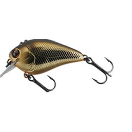 SCARE BROW 48 111