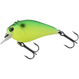 SCARE BROW 48 31