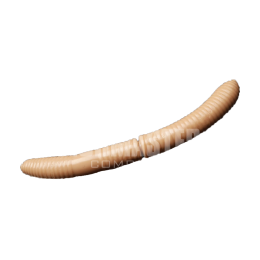 Fatty D'Worm 65 (035) 10 шт.