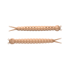 Slight Worm 38 (035) (Сыр) 15 шт.