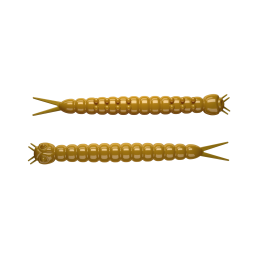 Slight Worm 38 (036) (Сыр) 15 шт.