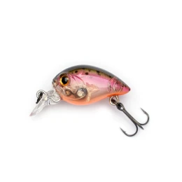 Kangoku Crank 27F-SR C-34