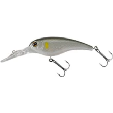 SHAD IS WASP 55
