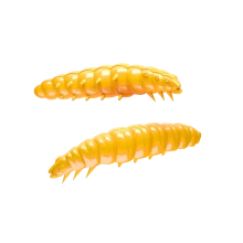 LARVA