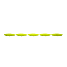 LARVA MULTI