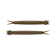 SLIGHT WORM 38 CHEESE/СЫР